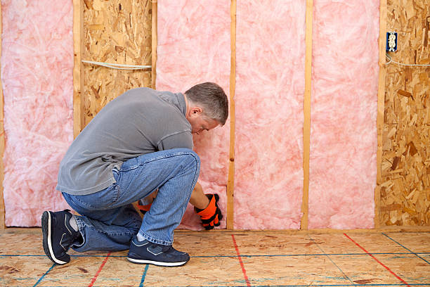 Best Commercial Insulation in Vinton, IA